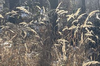 Chudoba v hlavě - Médium.cz